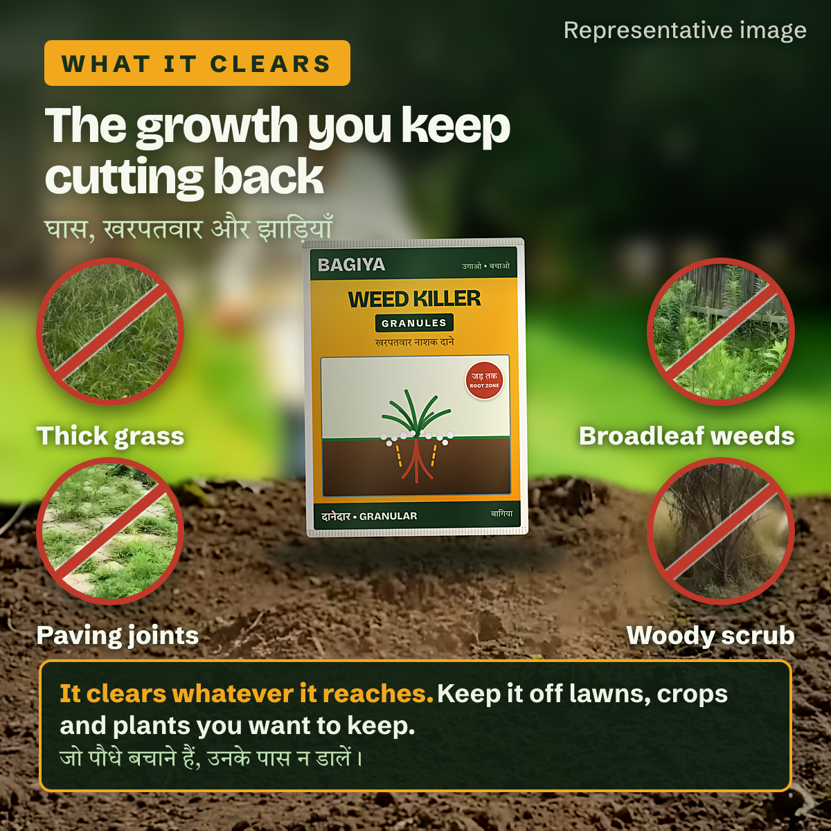 Thick grass, paving joints, broadleaf weeds and woody scrub