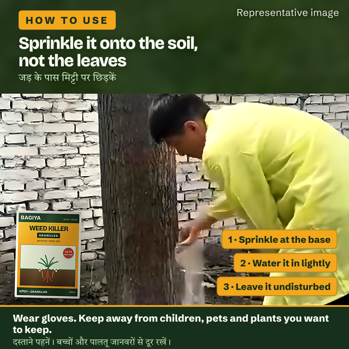 Granules being sprinkled onto the soil at the base of the growth