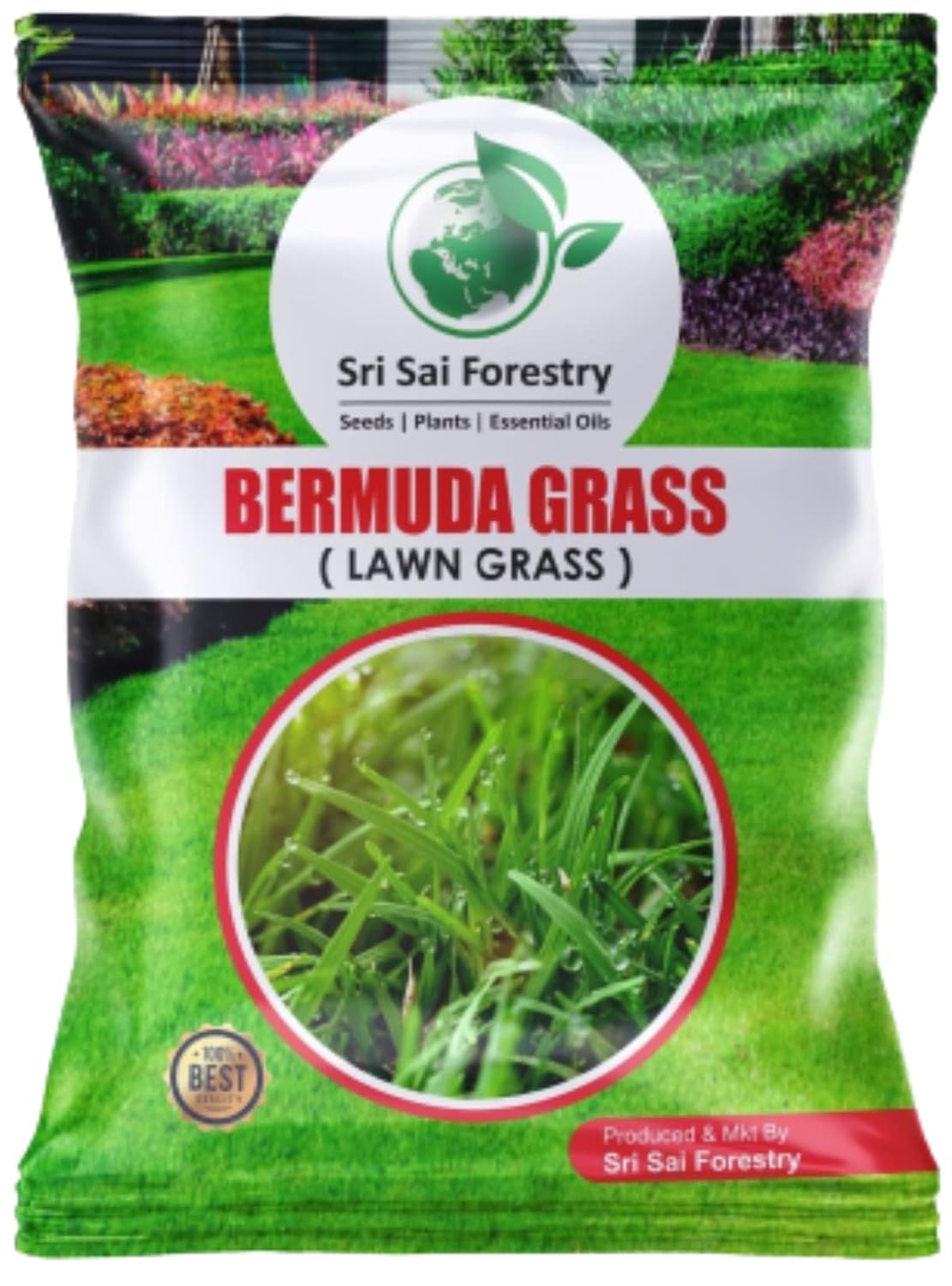 Hybrid Lawn Grass Seeds (Pack of 100)