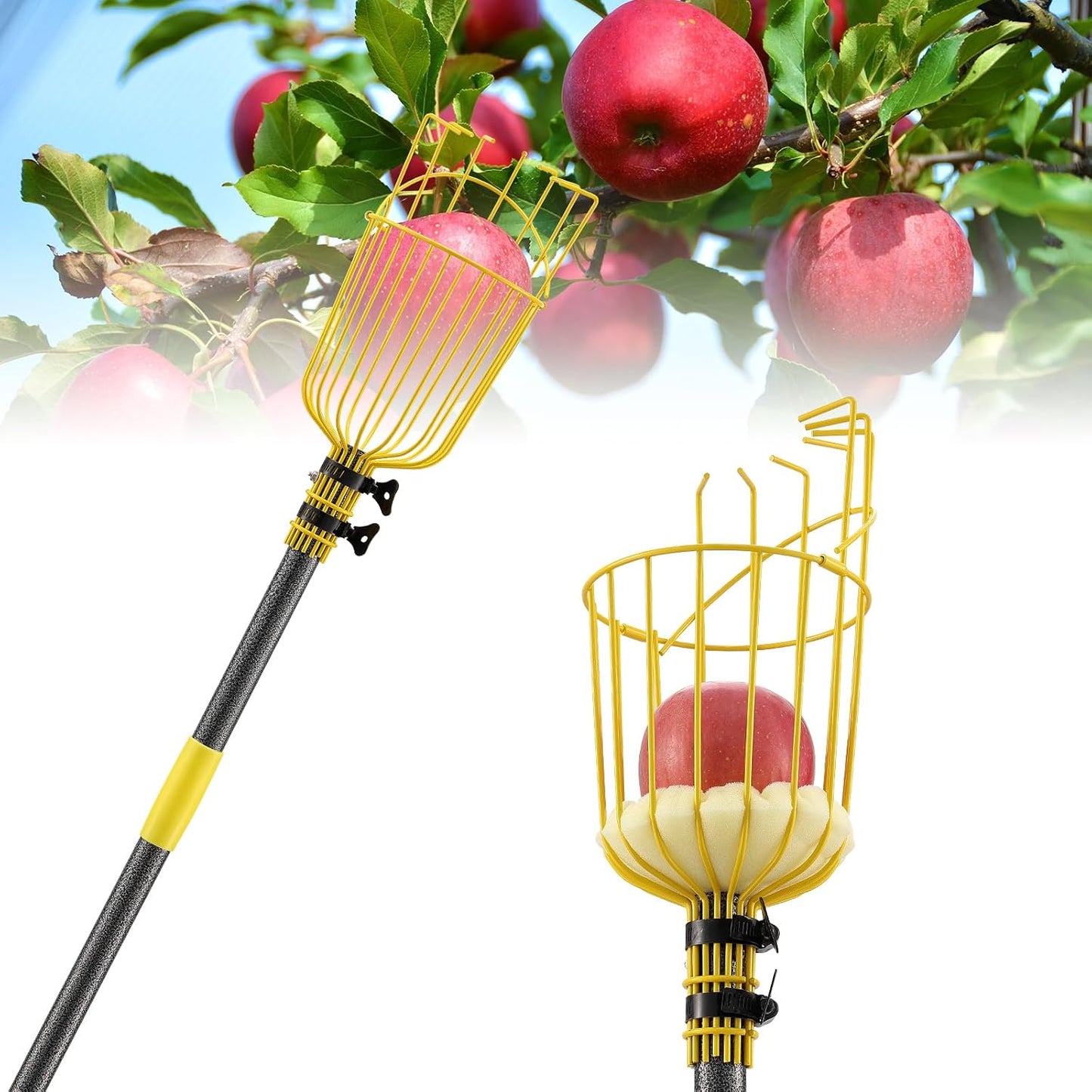 Fruit Picker with Basket Head