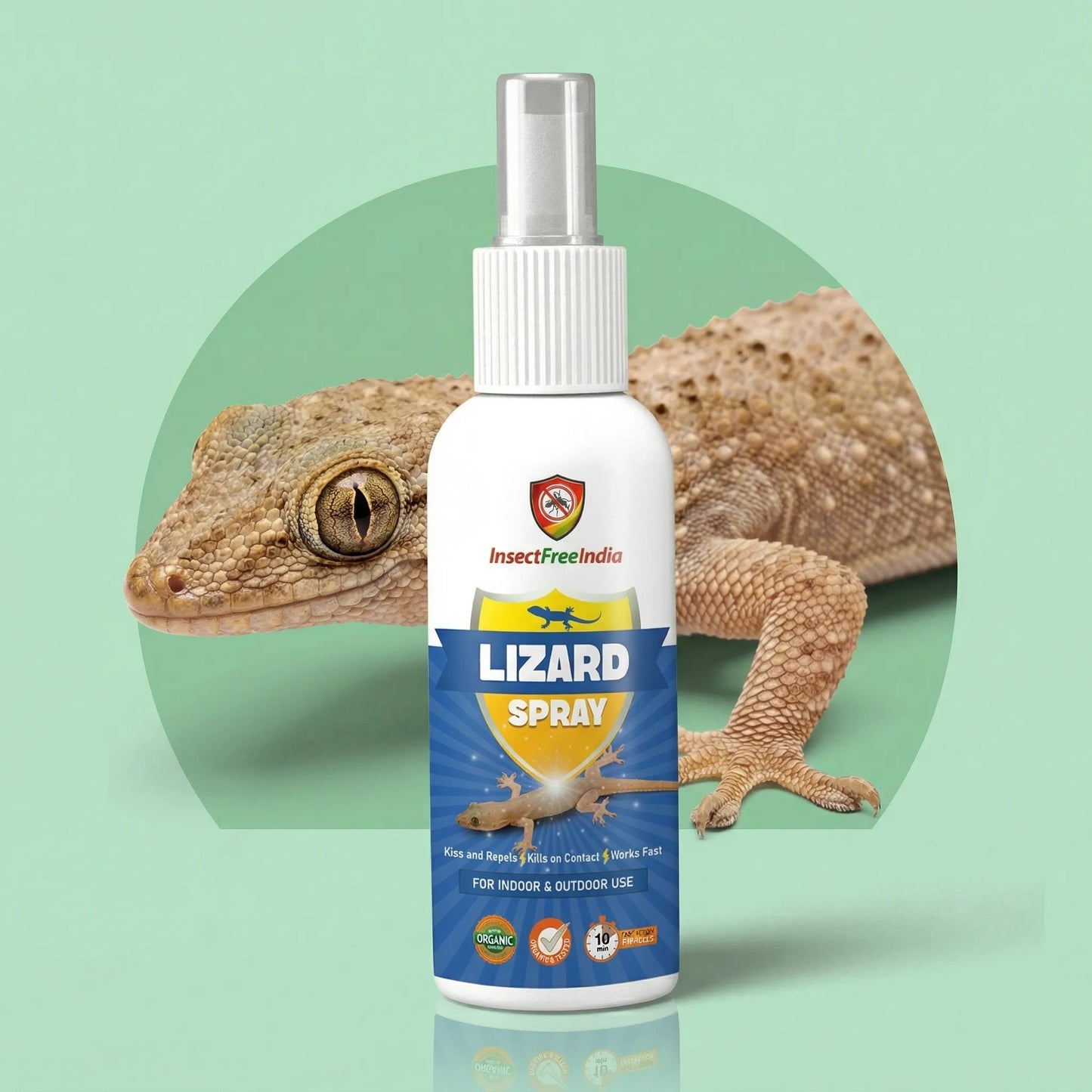 Lizard Repellent Spray (Pack of 3)