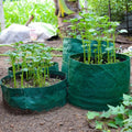 HDPE Plant Grow Bags (Pack of 4)