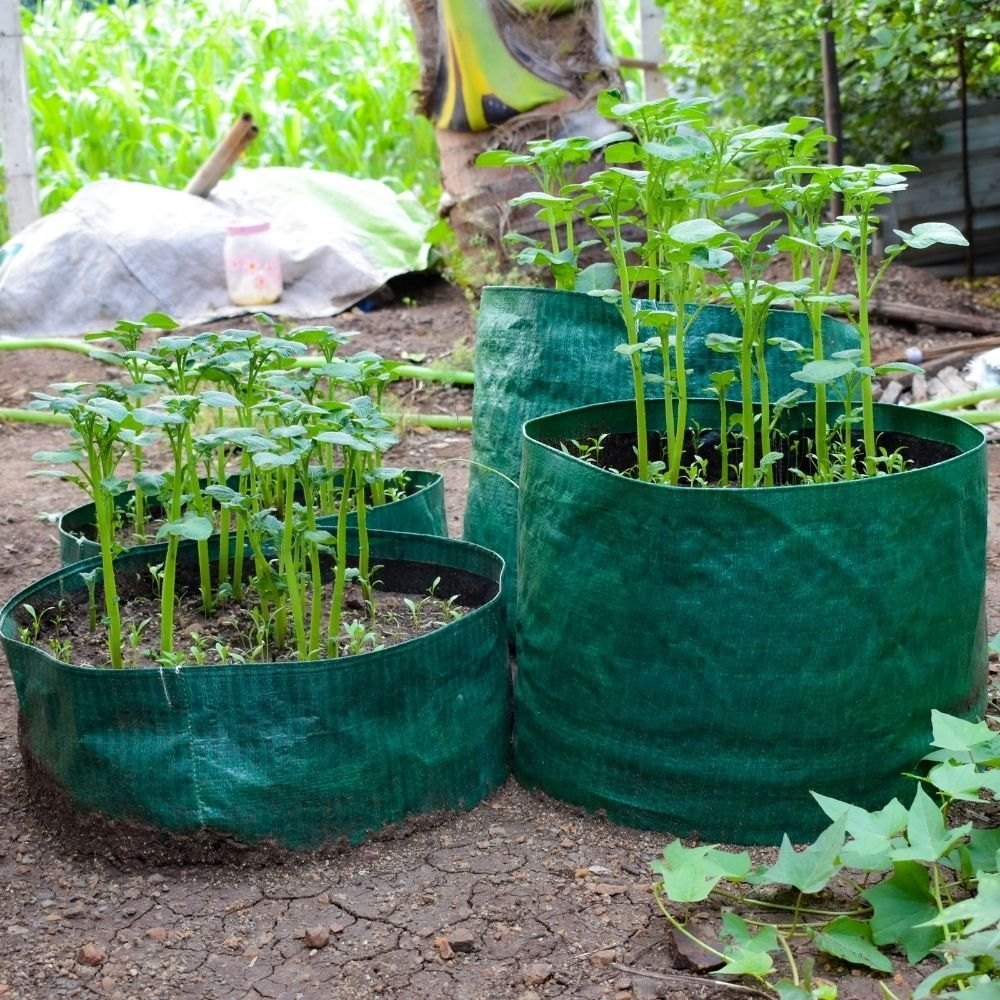 HDPE Plant Grow Bags (Pack of 4)